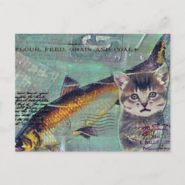 Carte Postale Collage multimédia Poisson Chat (Devant)