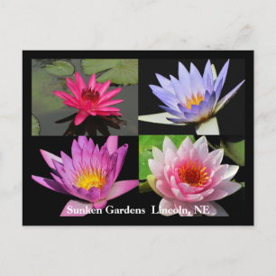 Carte postale Collage Nénuphar SG #1N 1100