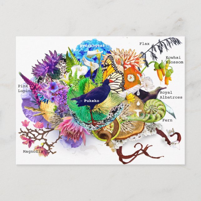 Carte Postale collage néo-zélandais (Devant)