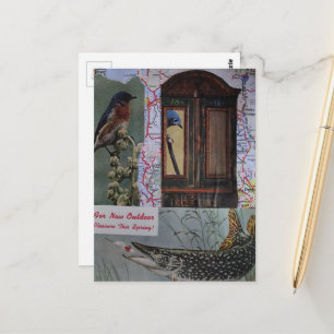 Carte Postale Collage Oiseaux et Poissons Rétro