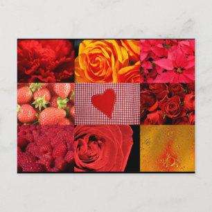 Carte Postale Collage photo rouge