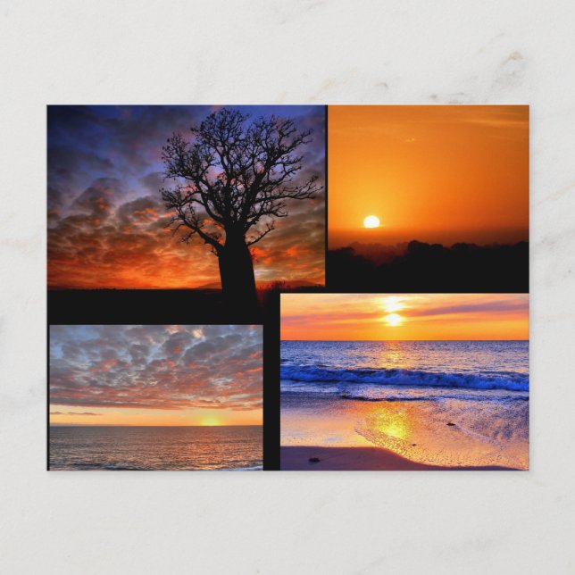 Carte postale Collage Sunset (Devant)