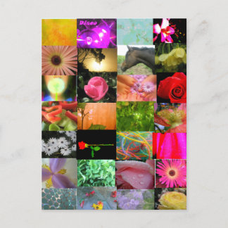 Carte Postale Collage varié