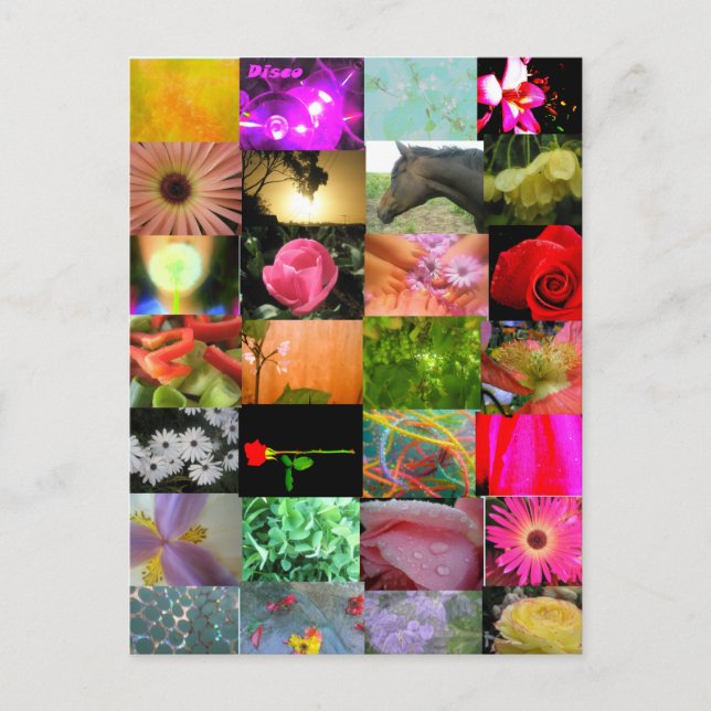 Carte Postale Collage varié (Devant)