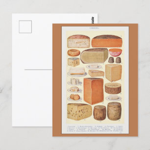 Carte Postale Collage vintage de fromages domestiques, Beeton, 1