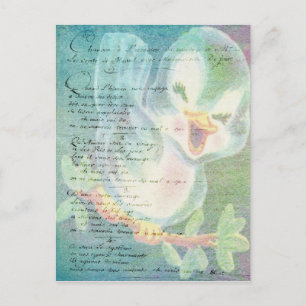 Carte Postale Collage vintage de l'Art numérique d'oiseaux