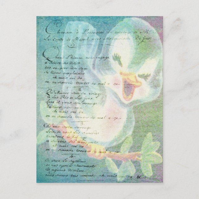 Carte Postale Collage vintage de l'Art numérique d'oiseaux (Devant)