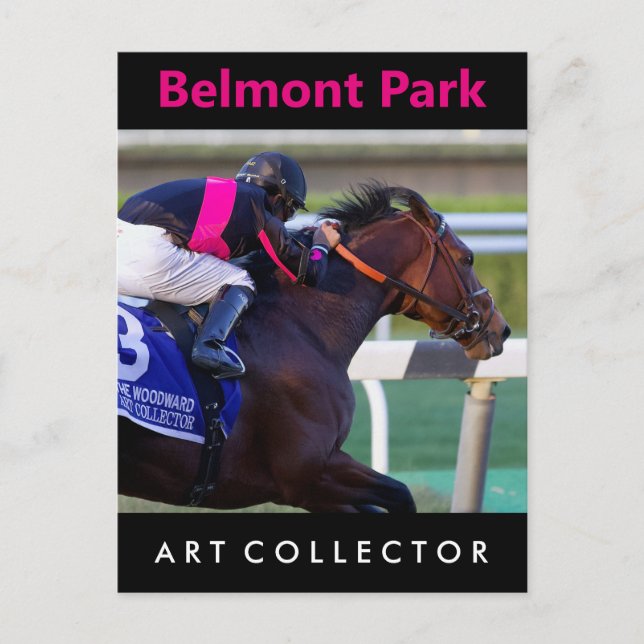 Carte Postale Collecteur d'art et Saez (Devant)