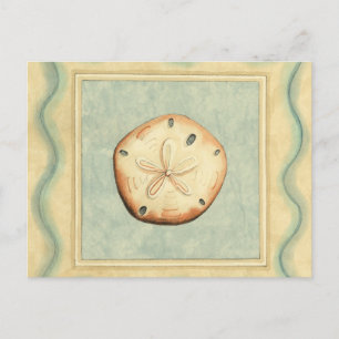 Carte Postale Collecteur Shell