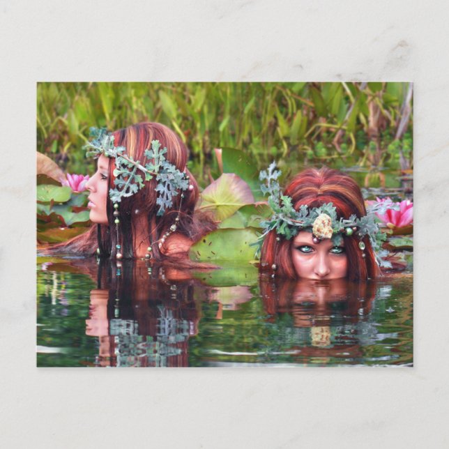 Carte postale Collecteurs de soeurs (Devant)