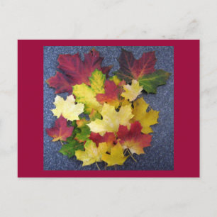 Carte Postale Collection automne