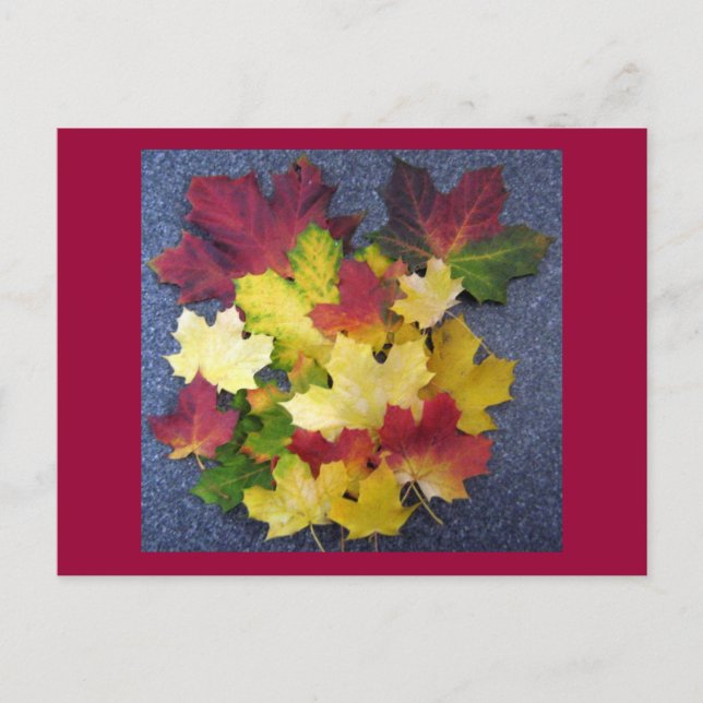 Carte Postale Collection automne (Devant)