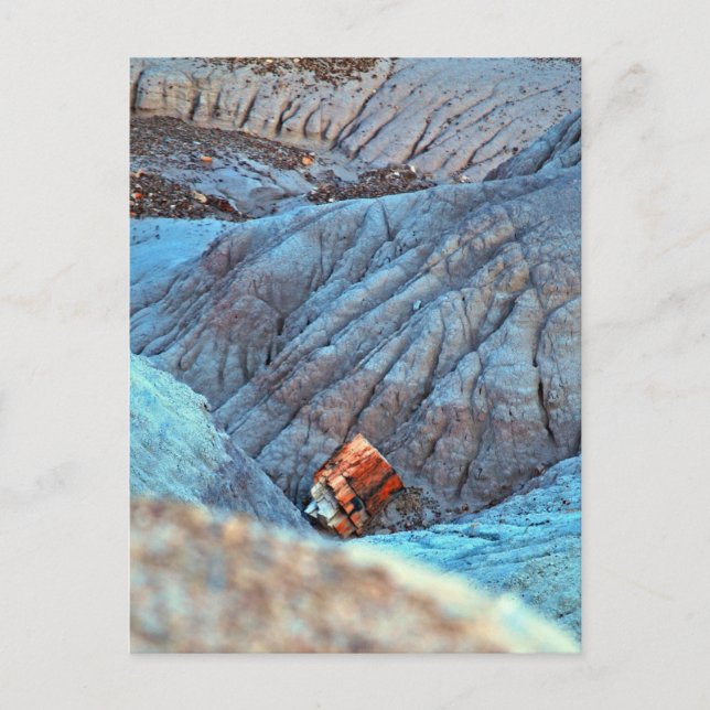 Carte Postale Collection "Bois cassé dans le canyon bleu" (Devant)