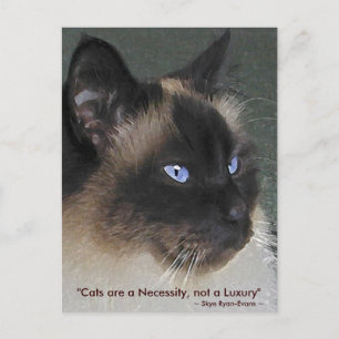 Carte Postale Collection CAT BIRMAN RAGDOLL