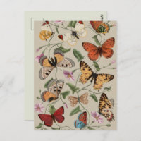 Collection de la papillon Moth Nature Dessin