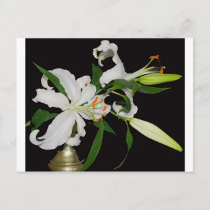 Carte Postale Collection de lys artistiques-1