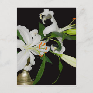Carte Postale Collection de lys artistiques-1
