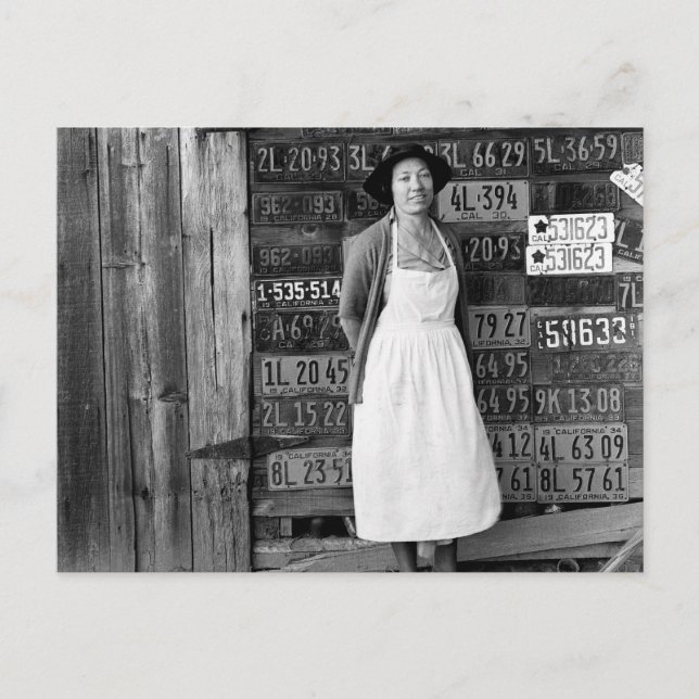 Carte Postale Collection de plaques de licence des années 1930 (Devant)