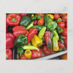 Carte Postale Collection de poivrons