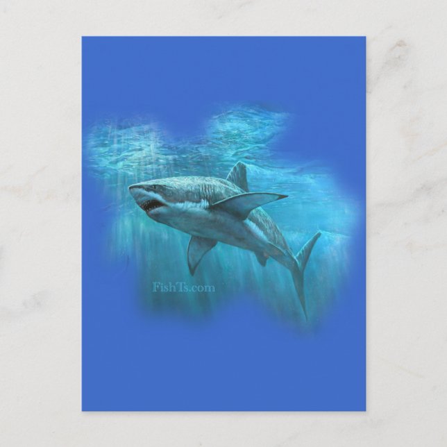 Carte Postale Collection de requins par FishTs.com (Devant)