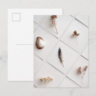 Carte Postale Collection de spécimens naturels minimaliste