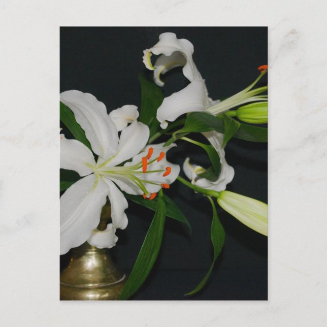 Carte Postale Collection Irlandaise de laiton et de fleurs (Devant)