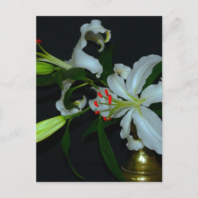 Carte Postale Collection Irlandaise de laiton et de fleurs (Devant)