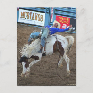 Carte Postale Collection Rodeo - Randonnée sauvage