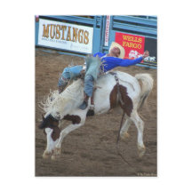 Collection Rodeo - Randonnée sauvage