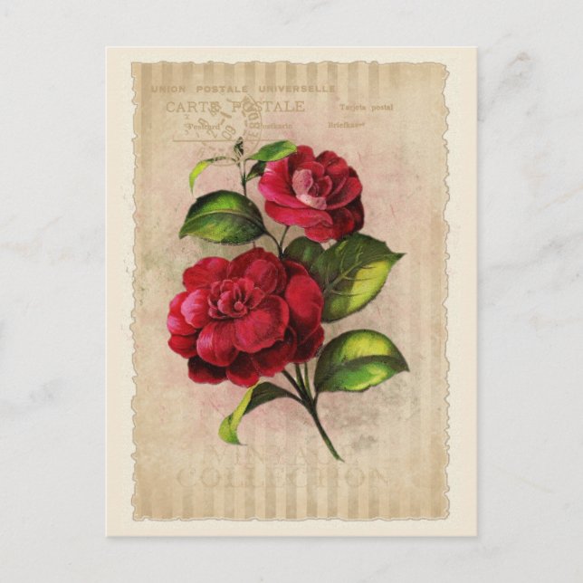 Carte postale - Collection Vintage - Vol.3 - Carte (Devant)