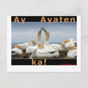 Carte Postale Collections Ilocano Arubub, Jones, Isabela