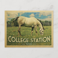 College Station Texas Horse Farm -Vintage voyage