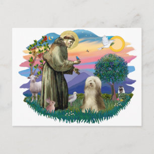 Carte Postale Colley barbu (marron-crème)