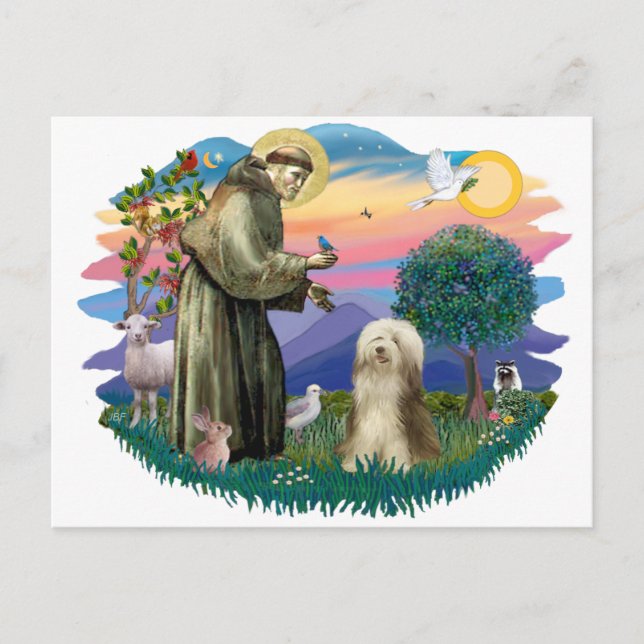 Carte Postale Collie à poils (crème brune) (Devant)