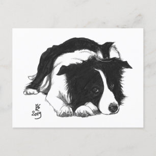 Carte postale Collie de la frontière de Doggust 20