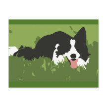 Carte postale Collie Dog
