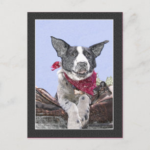 Carte Postale Collie Heeler Mix Dog Sketch Art Hello