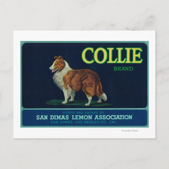Carte Postale Collie Lemon LabelSan Dimas, CA (Devant)
