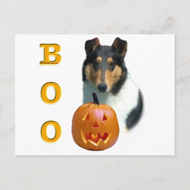 Carte Postale Collie (lisse) Boo (Devant)