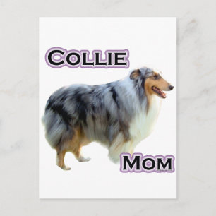 Carte Postale Collie Maman 4