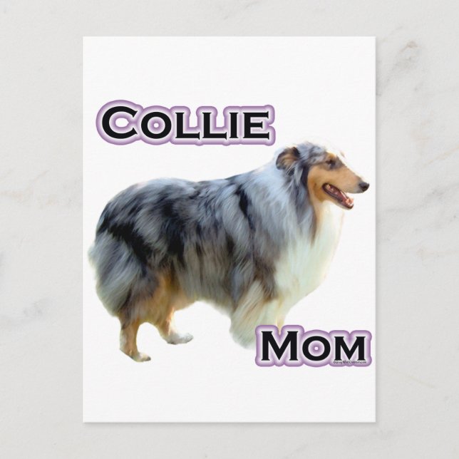 Carte Postale Collie Maman 4 (Devant)