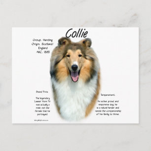 Carte Postale Collie (sable brut) Historique Conception