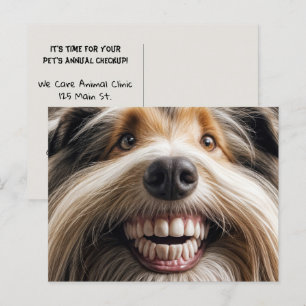 Carte Postale Collie Toothy Smile