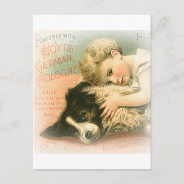 Carte postale Collie vintage (Devant)