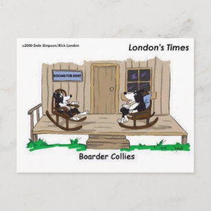 Carte Postale Collies frontalières à la retraite Drôle Offbeat D