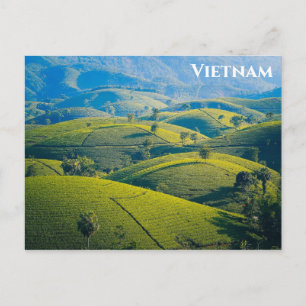 Carte Postale Colline de thé Long Coc au Vietnam - Photo de voya