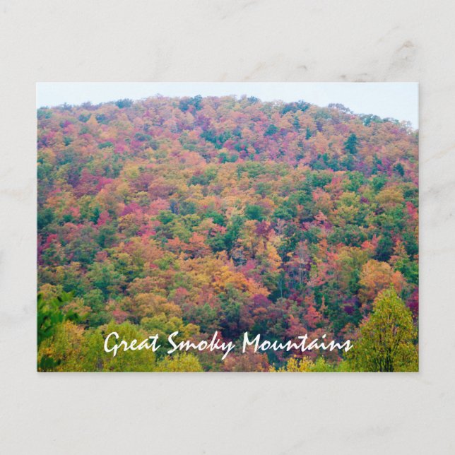 Carte Postale Colline en couleur (Devant)