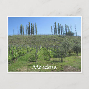 Carte Postale colline mendoza