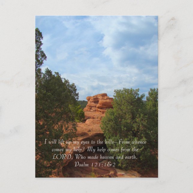 Carte Postale Collines en été (Devant)