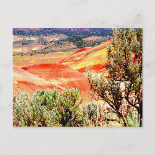 Carte Postale Collines peintes Oregon